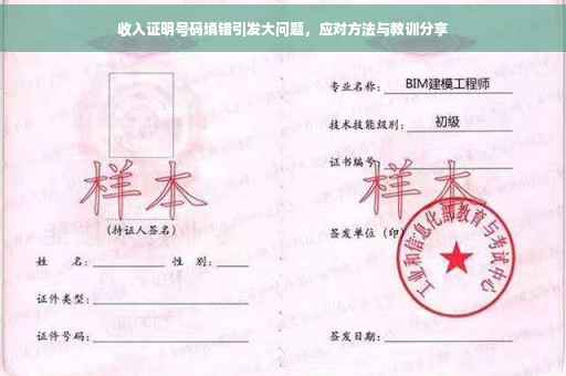 收入证明号码填错引发大问题，应对方法与教训分享