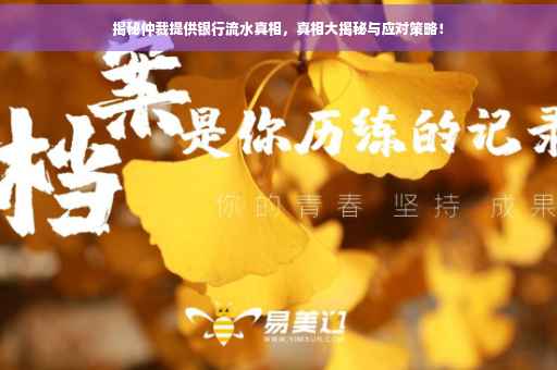 揭秘仲裁提供银行流水真相，真相大揭秘与应对策略！