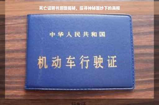 死亡证明书原图揭秘，探寻神秘面纱下的真相