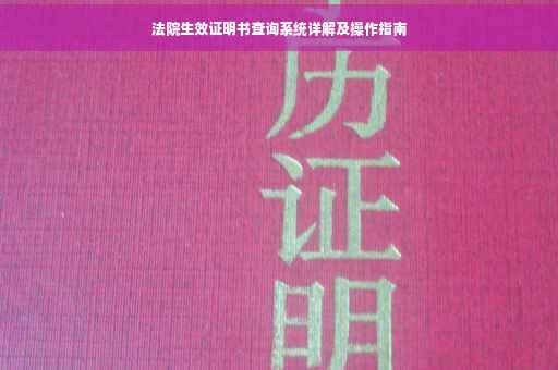 法院生效证明书查询系统详解及操作指南