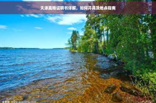 天津离婚证明书详解，如何开具及地点指南
