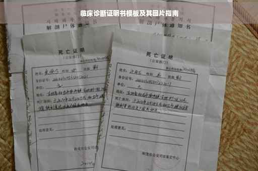 临床诊断证明书模板及其图片指南