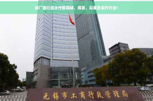 进厂银行流水作假揭秘，危害、后果及应对方法！