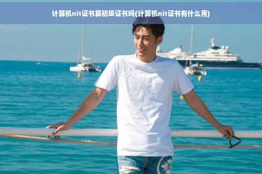 计算机nit证书算初级证书吗(计算机nit证书有什么用)