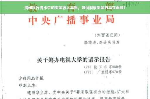 揭秘银行流水中的奖金收入真相，如何洞察奖金的真实面貌？