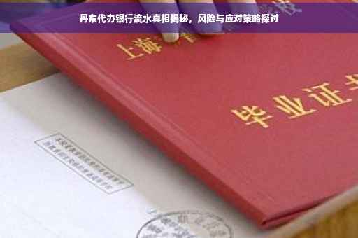 丹东代办银行流水真相揭秘，风险与应对策略探讨