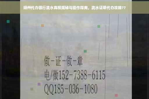 扬州代办银行流水真相揭秘与操作指南，流水证明代办攻略??