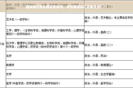 揭秘银行流水背后的故事，如何查询百亿资金流向？??