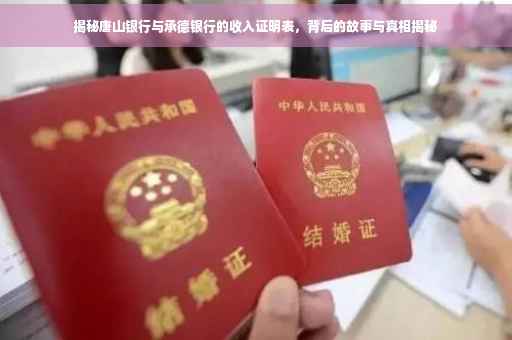 揭秘唐山银行与承德银行的收入证明表，背后的故事与真相揭秘