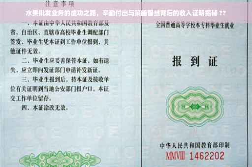 水果批发业务的成功之路，辛勤付出与策略智慧背后的收入证明揭秘 ??