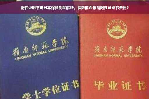 阳性证明书与日本保险制度解析，保险能否报销阳性证明书费用？
