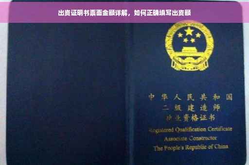 出资证明书票面金额详解，如何正确填写出资额