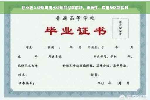 职业收入证明与流水证明的深度解析，重要性、应用及区别探讨