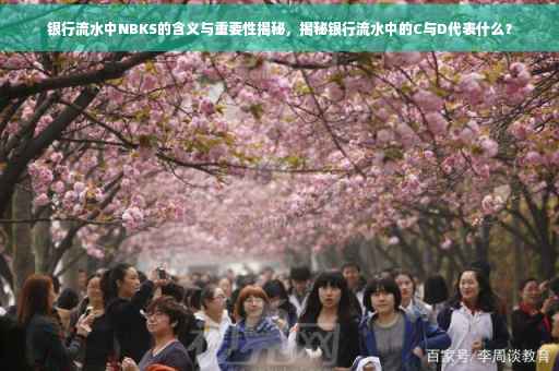 银行流水中NBKS的含义与重要性揭秘，揭秘银行流水中的C与D代表什么？