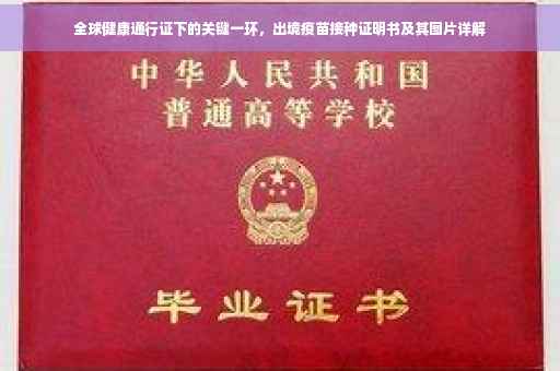 全球健康通行证下的关键一环，出境疫苗接种证明书及其图片详解