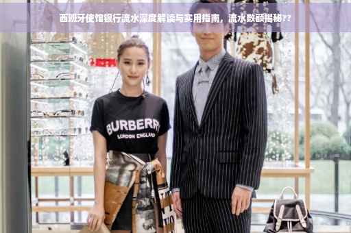 西班牙使馆银行流水深度解读与实用指南，流水数额揭秘??