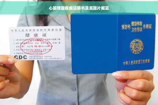 心脏晚期疾病证明书及其图片概览