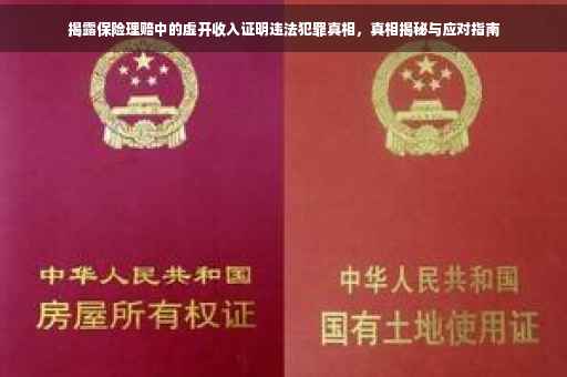 揭露保险理赔中的虚开收入证明违法犯罪真相，真相揭秘与应对指南