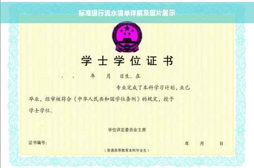 标准银行流水清单详解及图片展示