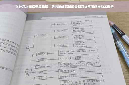 银行流水翻译盖章指南，跨境金融交易的必备流程与注意事项全解析
