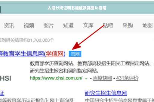 入院分娩证明书模板及其图片指南