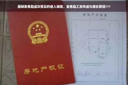 揭秘舍弗勒成功背后的收入秘密，舍弗勒工资构成与增长路径???