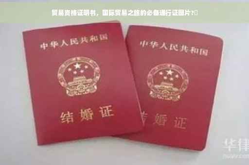 贸易资格证明书，国际贸易之旅的必备通行证图片?✨