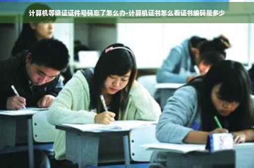 计算机等级证证件号码忘了怎么办-计算机证书怎么看证书编码是多少 计算机等级证证件号码忘了怎么办-计算机证书怎么看证书编码是多少