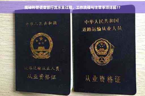 揭秘刑警调查银行流水全过程，工作流程与注意事项详解??
