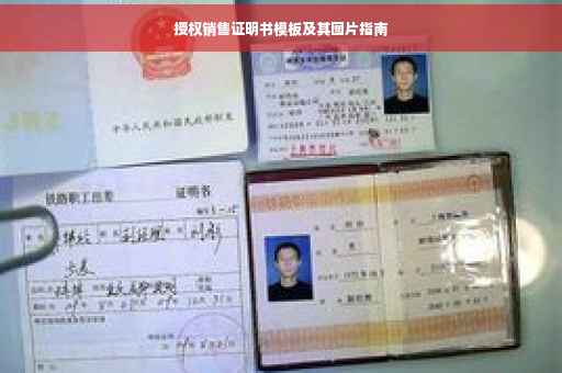 授权销售证明书模板及其图片指南