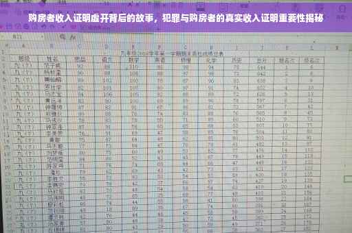 购房者收入证明虚开背后的故事，犯罪与购房者的真实收入证明重要性揭秘