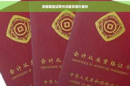 赤峰医院证明书详解及图片解析