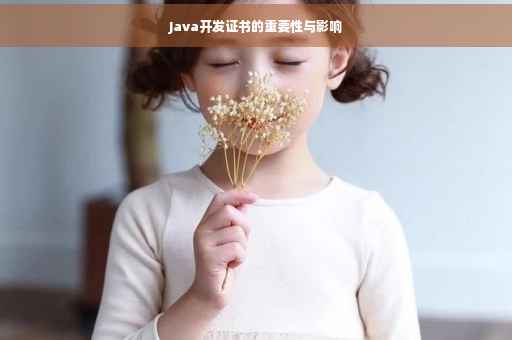 Java开发证书的重要性与影响