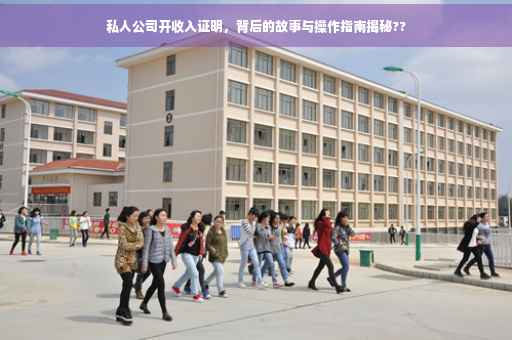 私人公司开收入证明，背后的故事与操作指南揭秘??