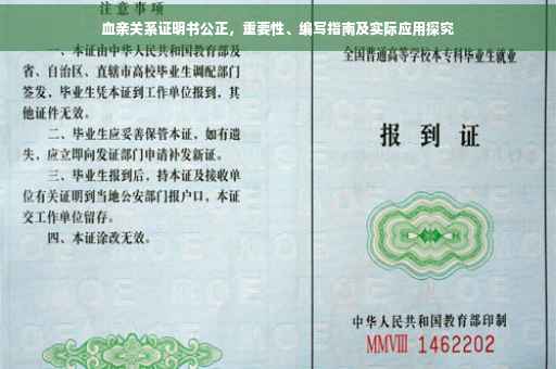血亲关系证明书公正，重要性、编写指南及实际应用探究