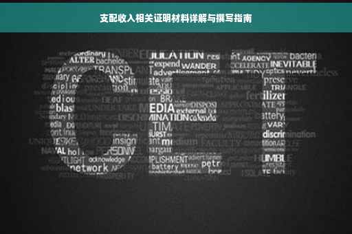 支配收入相关证明材料详解与撰写指南