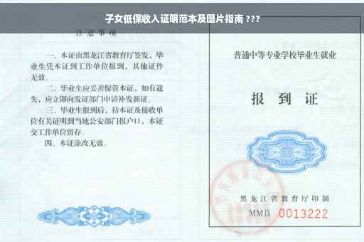 子女低保收入证明范本及图片指南 ???