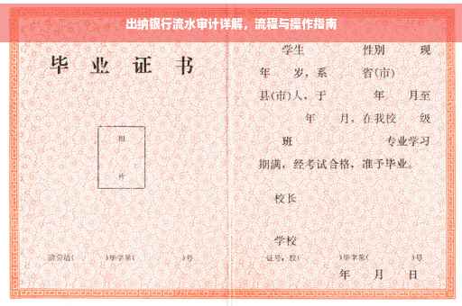 出纳银行流水审计详解，流程与操作指南