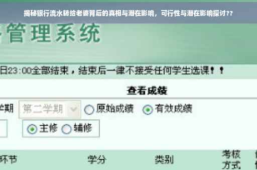 揭秘银行流水转给老婆背后的真相与潜在影响，可行性与潜在影响探讨??