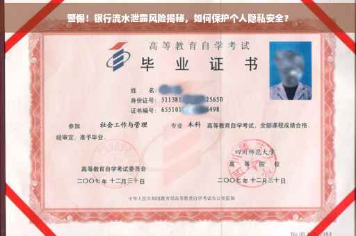 警惕！银行流水泄露风险揭秘，如何保护个人隐私安全？