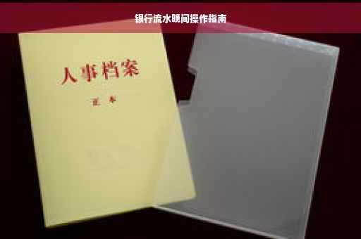 银行流水晚间操作指南
