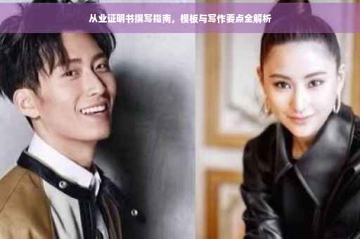 从业证明书撰写指南，模板与写作要点全解析