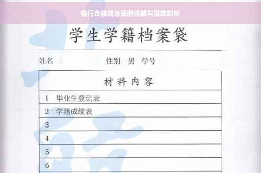 银行合格流水案例详解与深度剖析