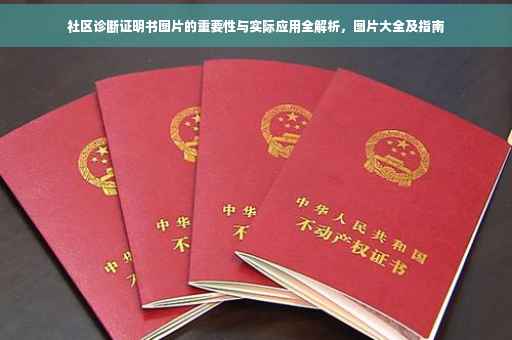 社区诊断证明书图片的重要性与实际应用全解析，图片大全及指南