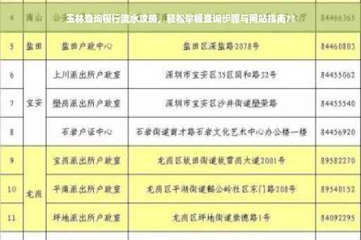 玉林查询银行流水攻略，轻松掌握查询步骤与网站指南??