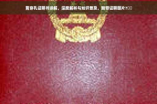 胃穿孔证明书详解，深度解析与知识普及，附带证明图片?⚡️