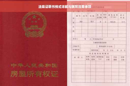 法庭证明书格式详解与撰写注意事项