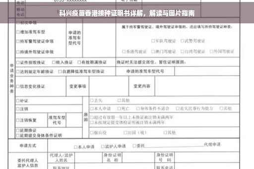 科兴疫苗香港接种证明书详解，解读与图片指南