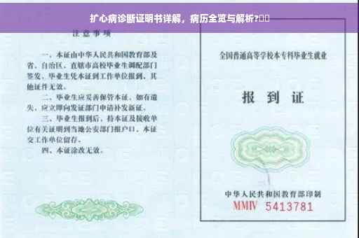 扩心病诊断证明书详解，病历全览与解析?⚡️