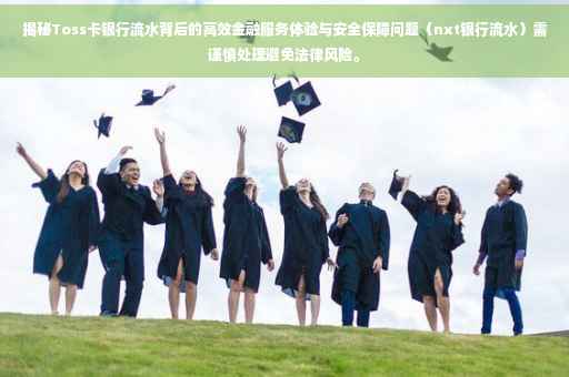 揭秘Toss卡银行流水背后的高效金融服务体验与安全保障问题（nxt银行流水）需谨慎处理避免法律风险。